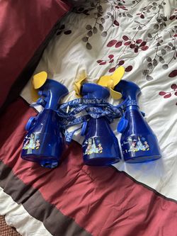 Disney parks misting fans