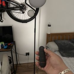 Taotronics Floor Lamp with Remote