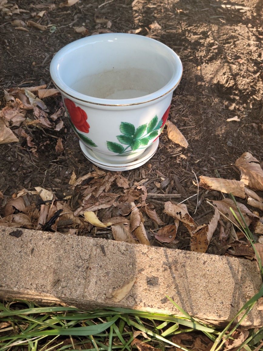 Flower Pot