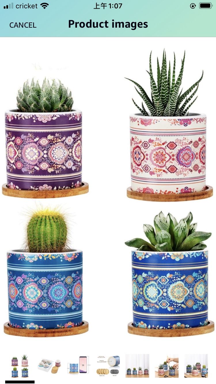 Succulent Pots Ceramic Cactus Pots , 3 Inch Succulent Planter (Set of 4)