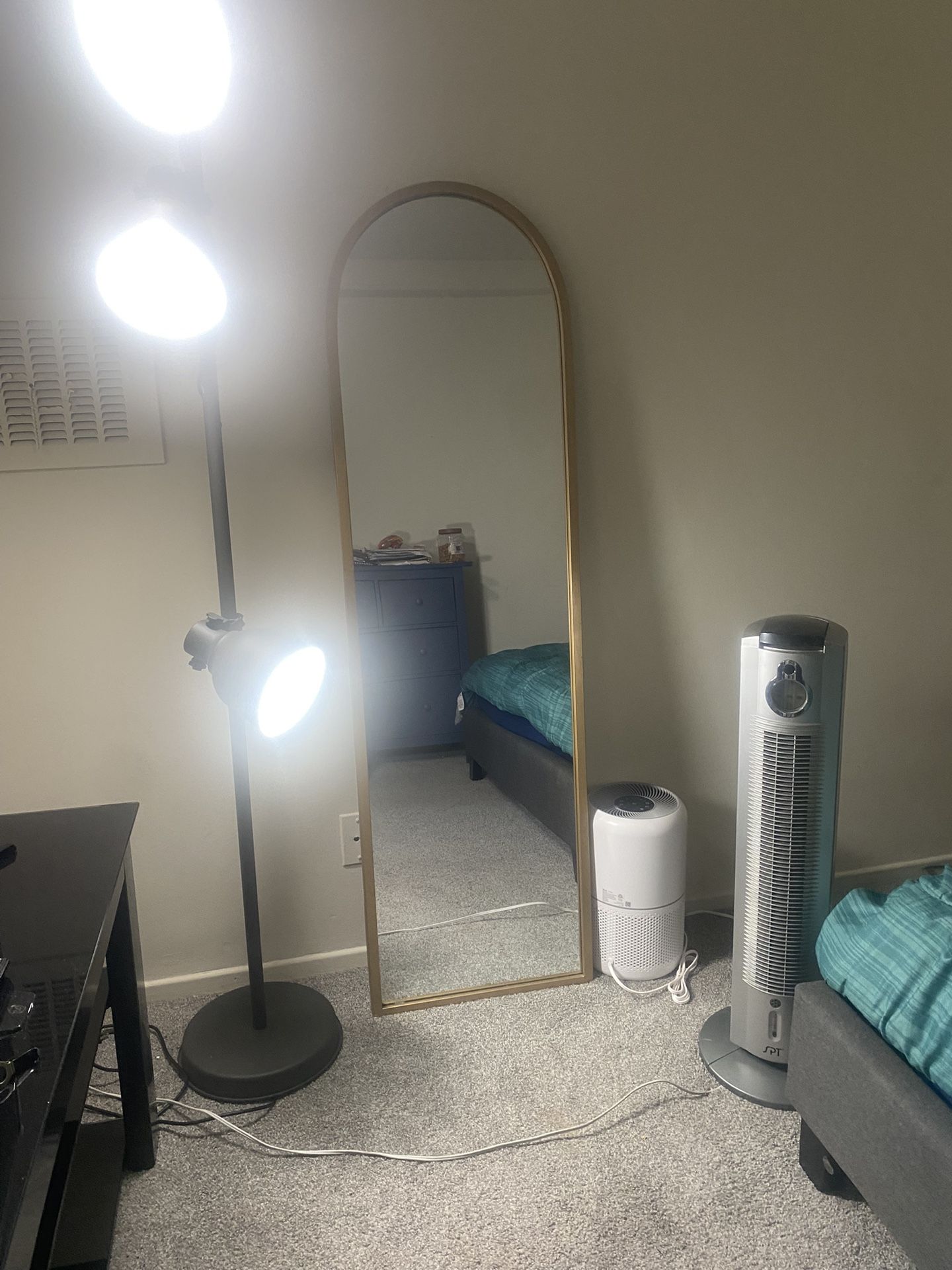 Floor Lamp And Fan