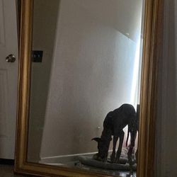 Vintage Mirrors