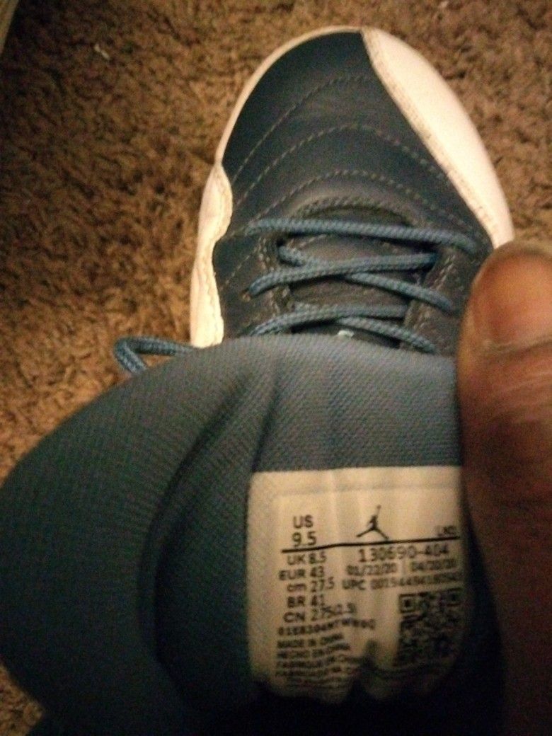 Blue and white 9.5 (Mens) Air Jordan 12 Retro
