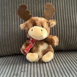 Reindeer