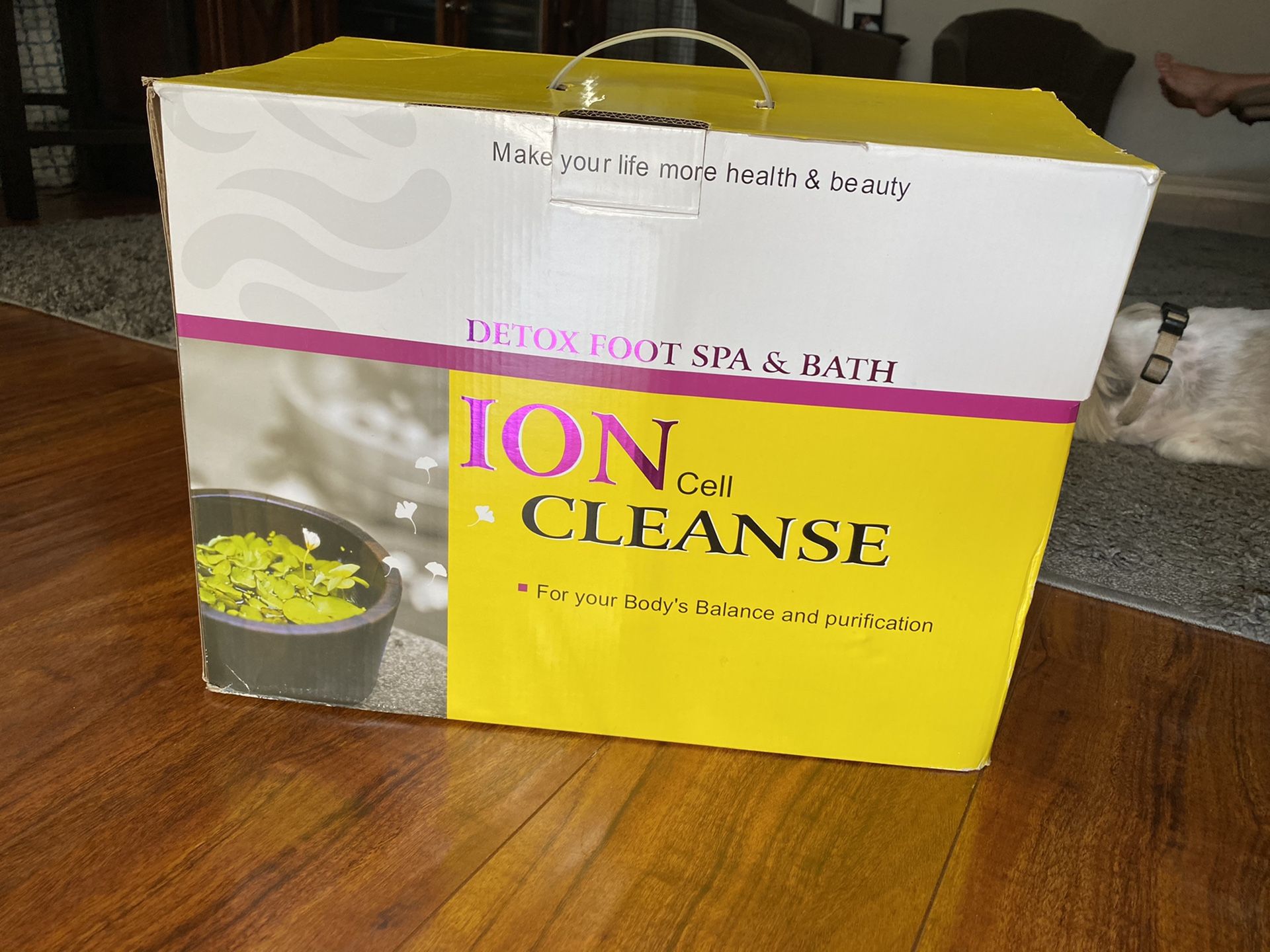 Ion Cell Cleanse