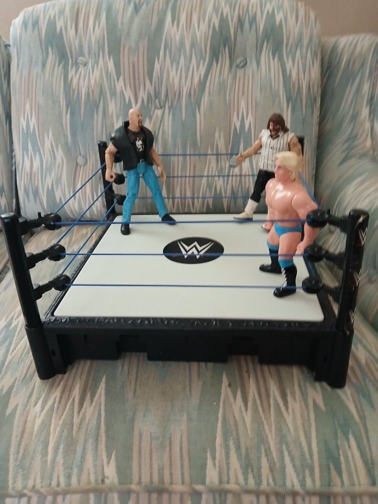 Toy WWE Wrestling Action Figures & Wrestling Ring