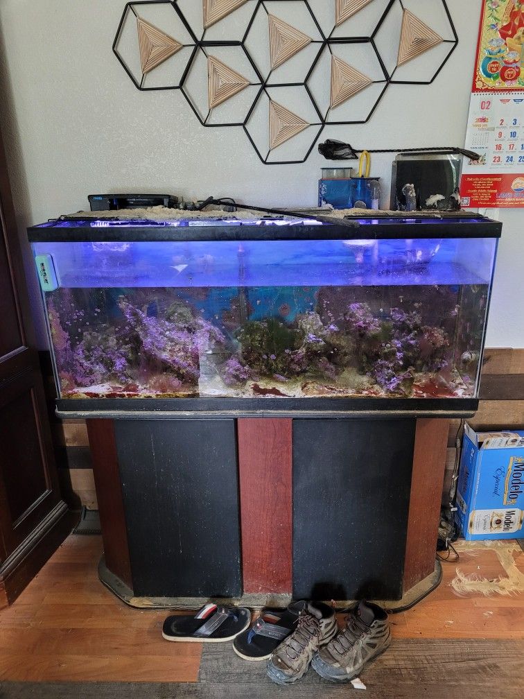 Fish Salt Water Tank