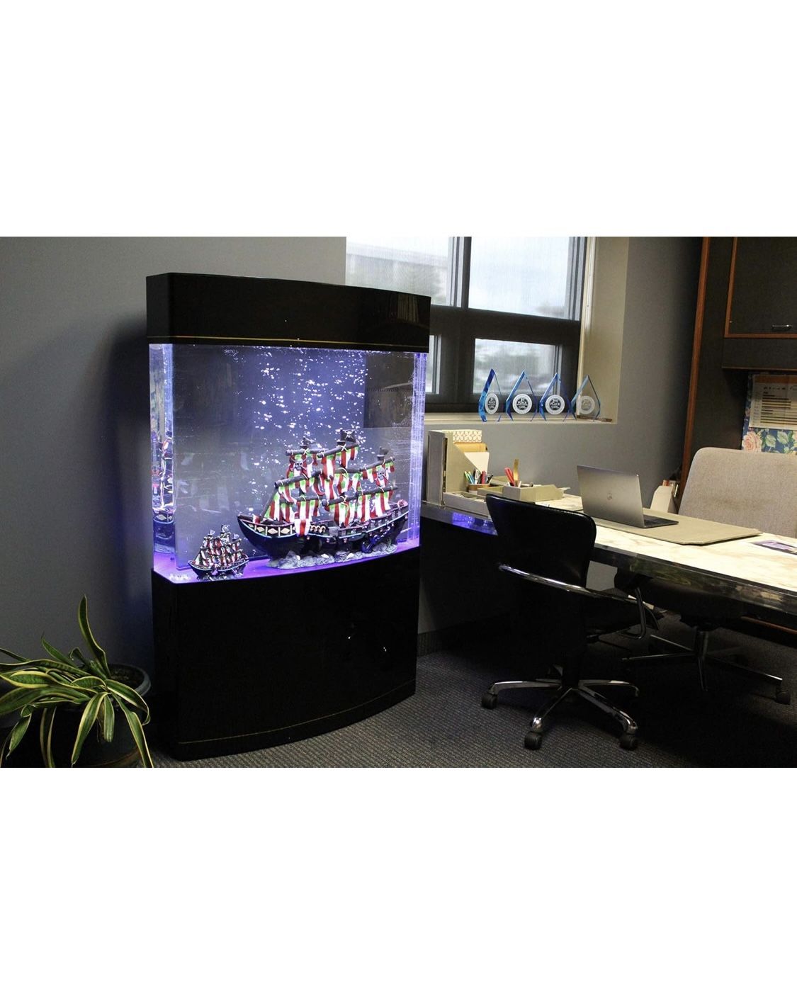 luxury fish tank with life rooks and fish food