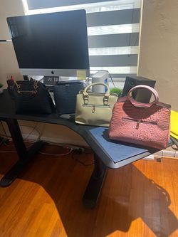 Brand new females purse (never used) 1 for 30$ or 4 for 100$