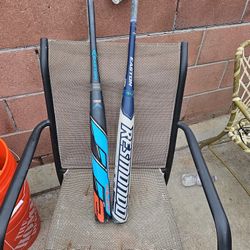 Bats
