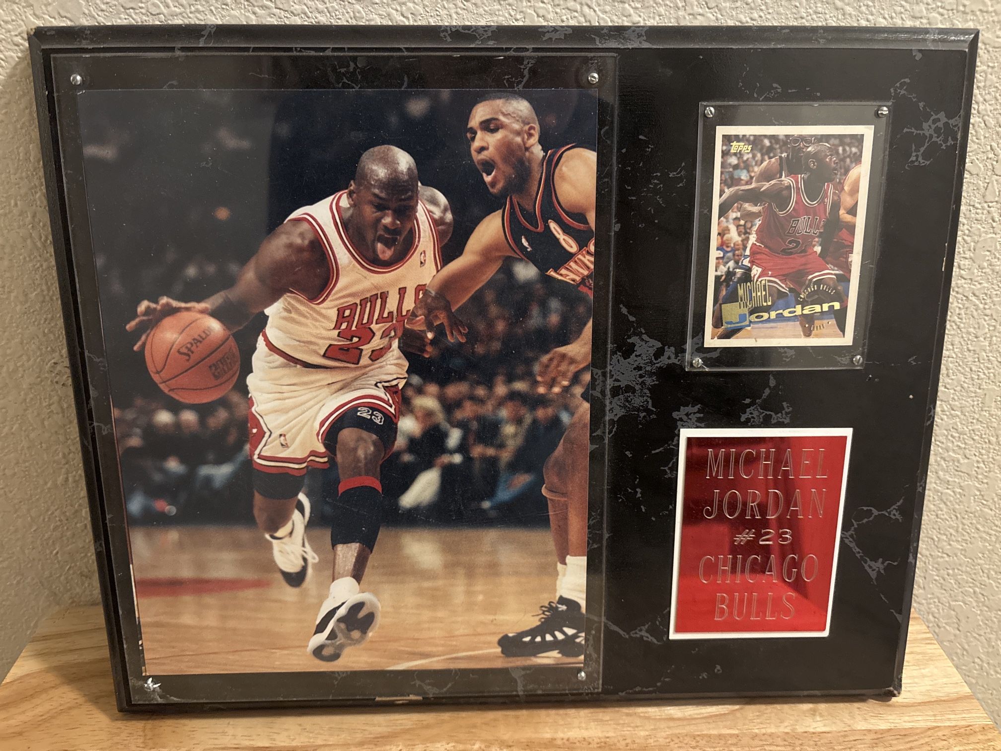 Michael Jordan Framed Photo & Card Display 15x 12