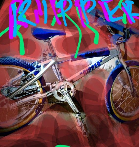 2017 SE RIPPER 20" BMX Bike
