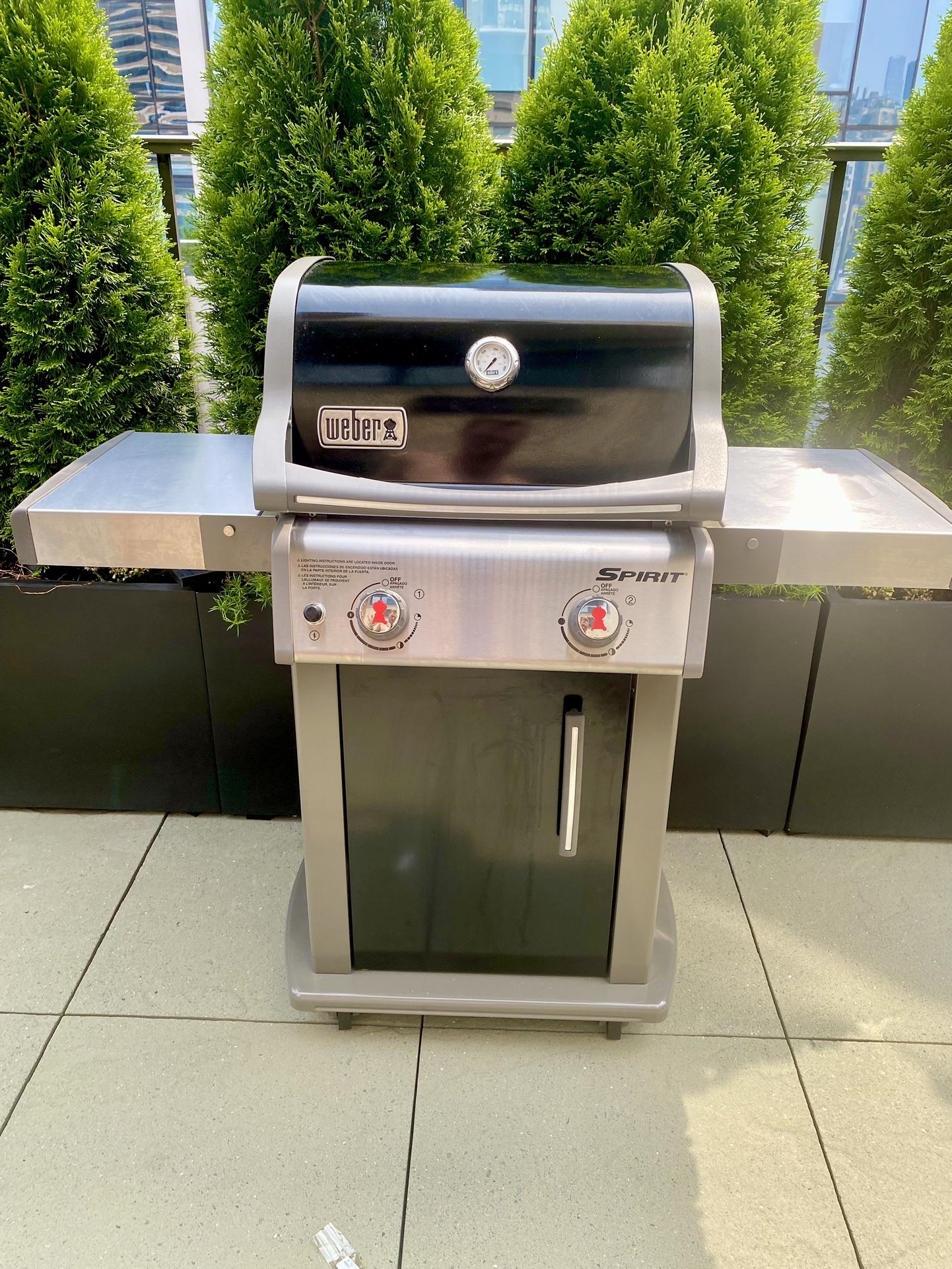 Almost New Weber Spirit E 210 Gas Grill Liquid Propane, Burner Black