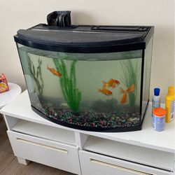 Aquarium , 5 Gold Fish, and all supplies 
