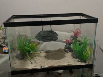 Fish tank , if you just want the tank without the sand and things inside lmk