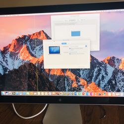 Apple 24” Cinema Display