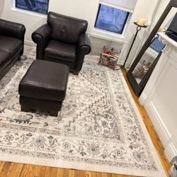 Area Rug