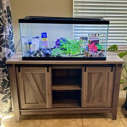 Fish tank and Stand