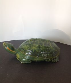 Turtles