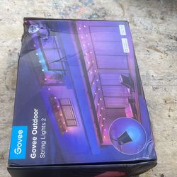 Govee outdoor led