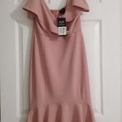 AX Paris Dress (New)