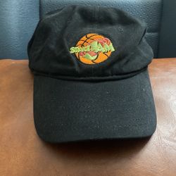Space Jam Hat
