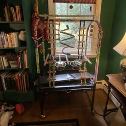 Colorful Bird/Parrot Play Stand