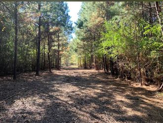 Brush mulching