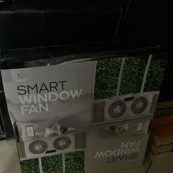Window Fans