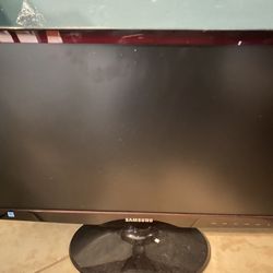 Computer Monitor21"