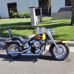 2001 Harley-Davidson fatboy softail special contruction