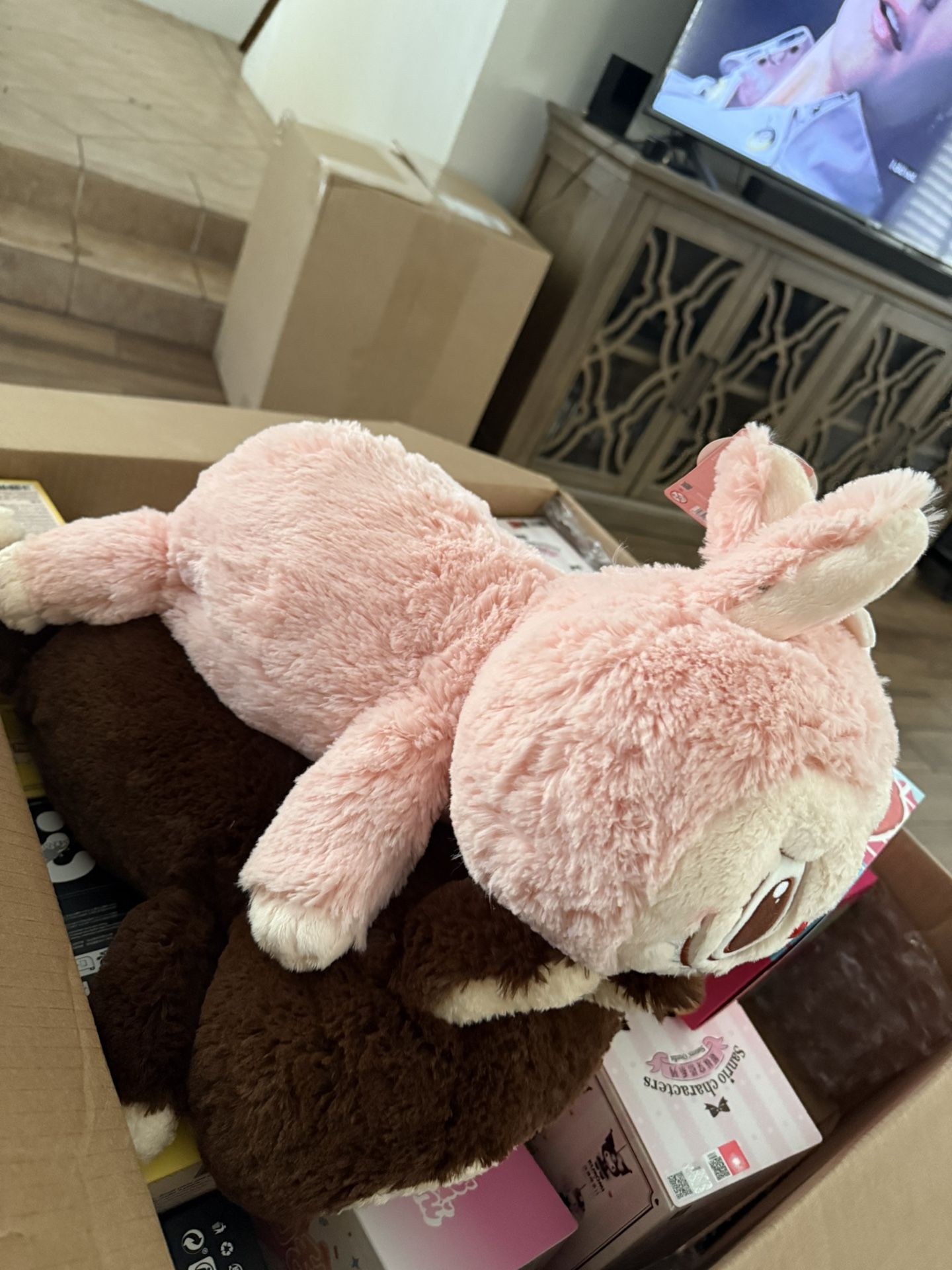 Miniso,popmart And Other Stuff