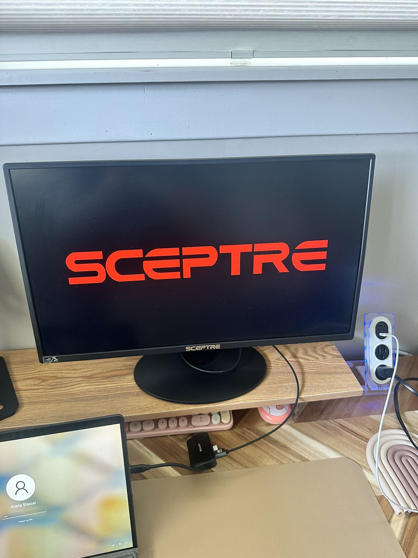 SCEPTRE 24” LED Monitor