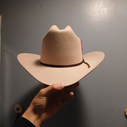 Texana Cuernos Chuecos