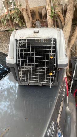 Transportador Para Mascotas 