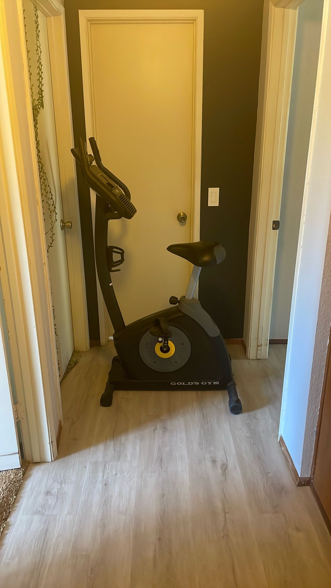Exercise Bike