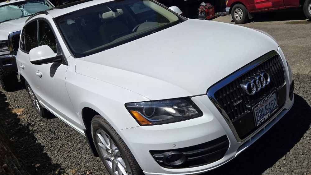 2009 Audi Q5