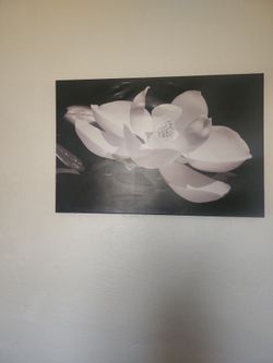Picture big black and white