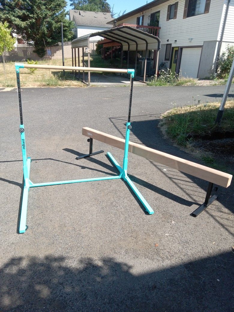 Flex Millard Kip Bar With Nimble Sports Balance Beam
