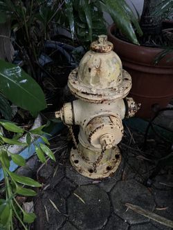 Classic Fire Hydrant