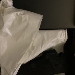 Air Jordan 4 Black Cat