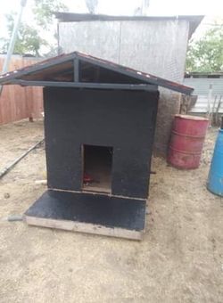 Huge dog house