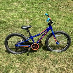 Boys 20in Bike
