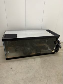 20 gallon long reptile tank