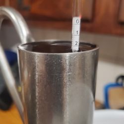Maple Sap