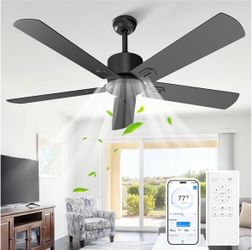 Black Ceiling Fan No Light, 52 in Outdoor Flush Mount Ceiling Fans with Remote Control without Light