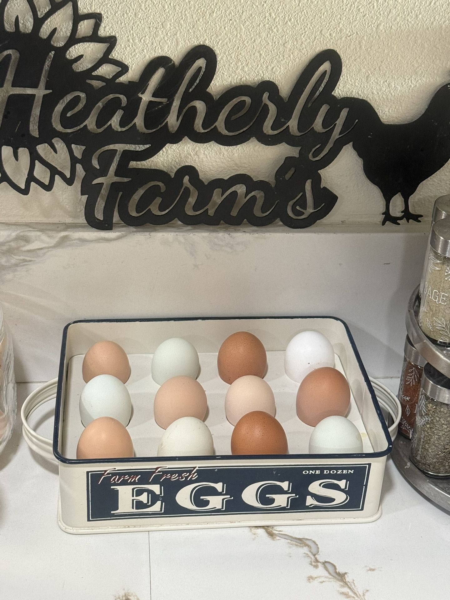 Hatching Eggs Amazing Layers