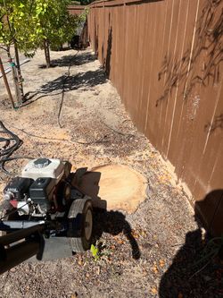 🌴Palm trimming🌳Stump Grinding