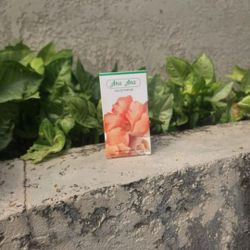 Secret Plus ANA ANA Eau De Parfum 