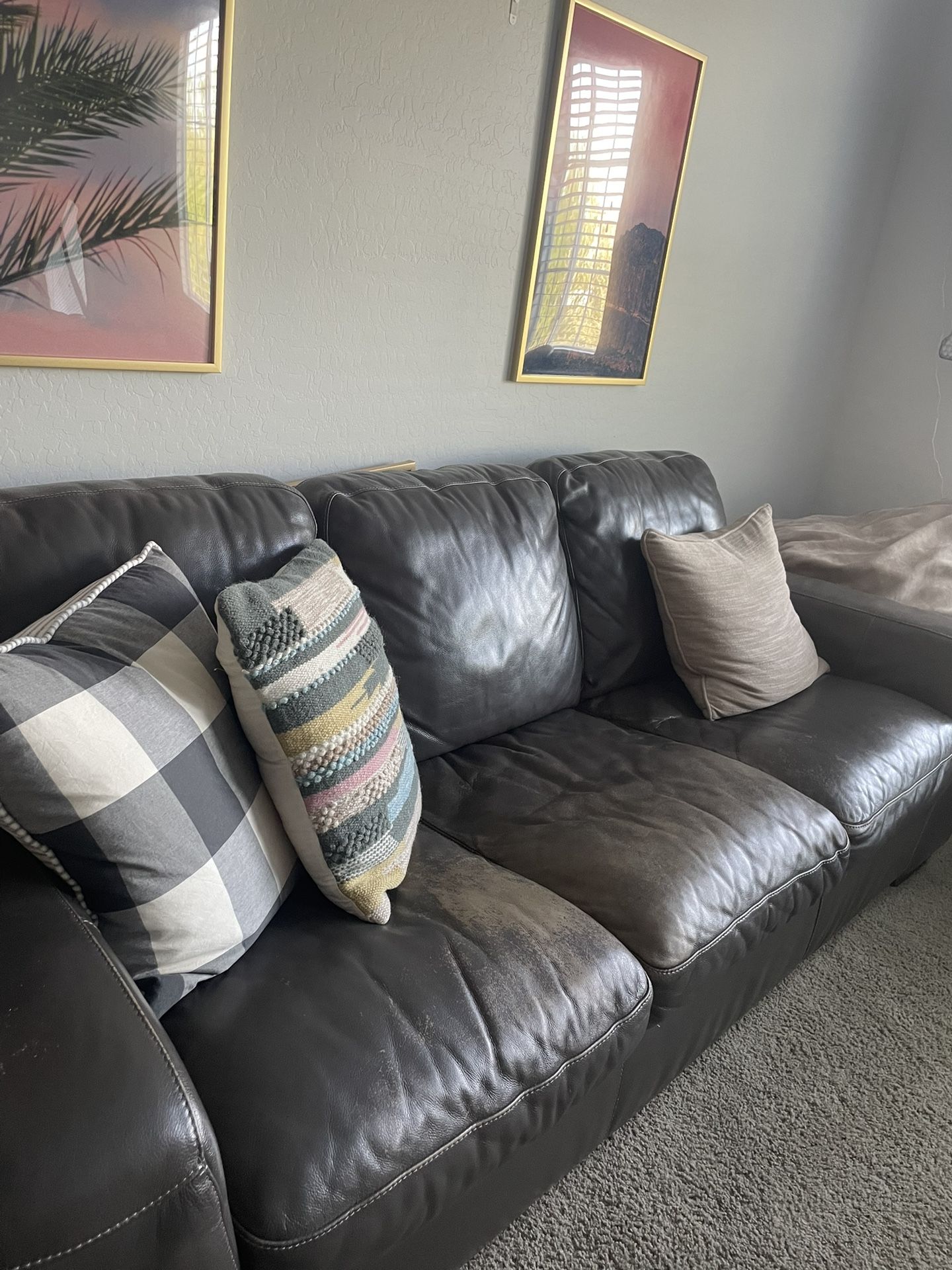 Leather Couches